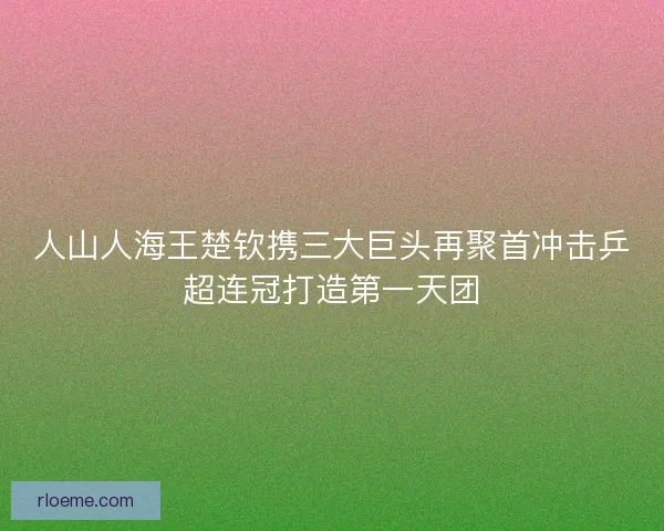 人山人海王楚钦携三大巨头再聚首冲击乒超连冠打造第一天团