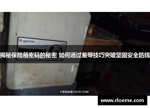 揭秘保险箱密码的秘密 如何通过羞辱技巧突破坚固安全防线